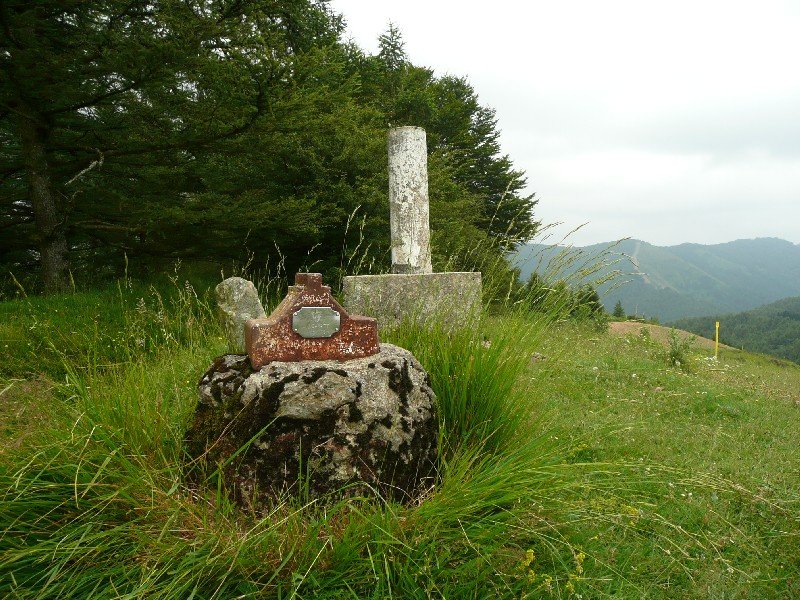 Tontorra