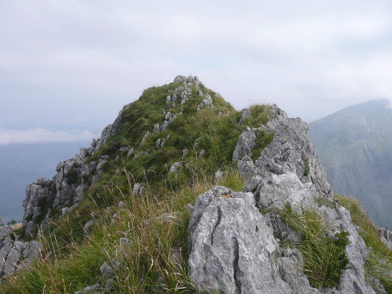 Larraone
