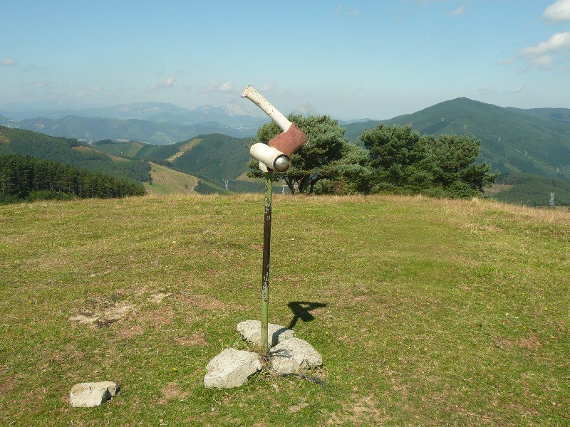 Buzoia