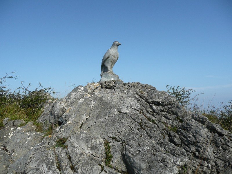 Txoria