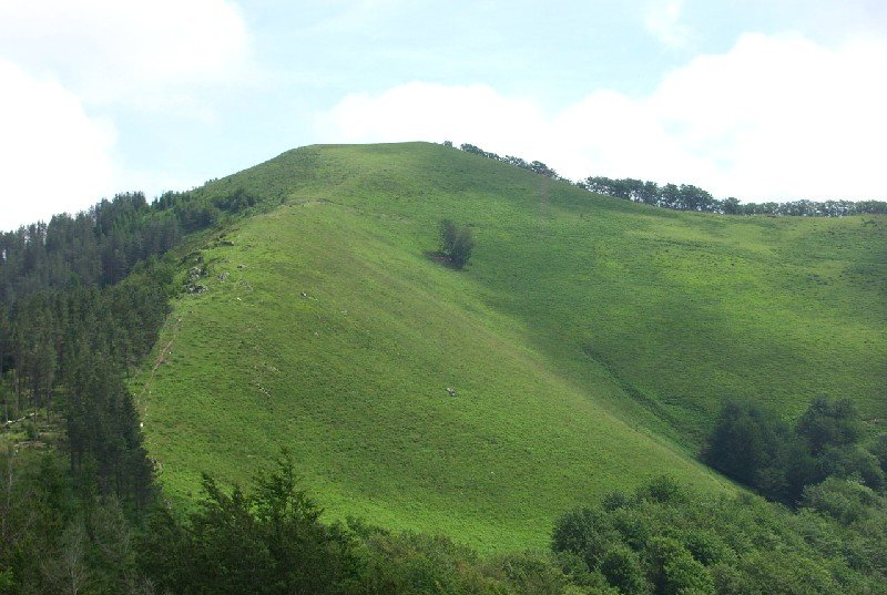 Urepel