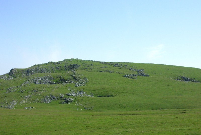 Tontorra