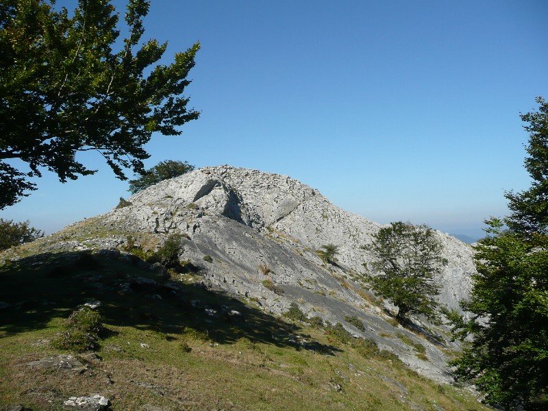 Tontorra