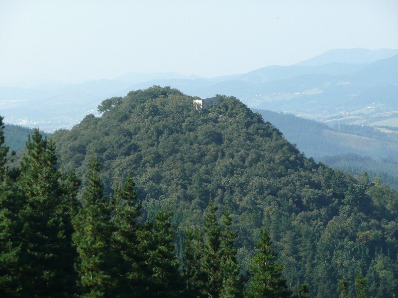 Artadi