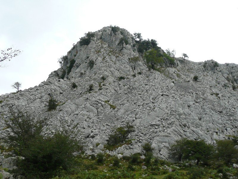 Betzuenburu