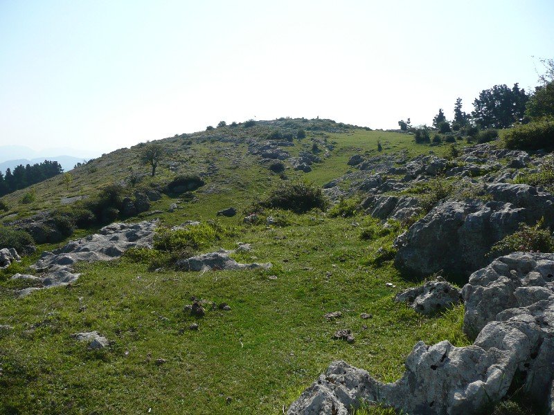 Tontorra