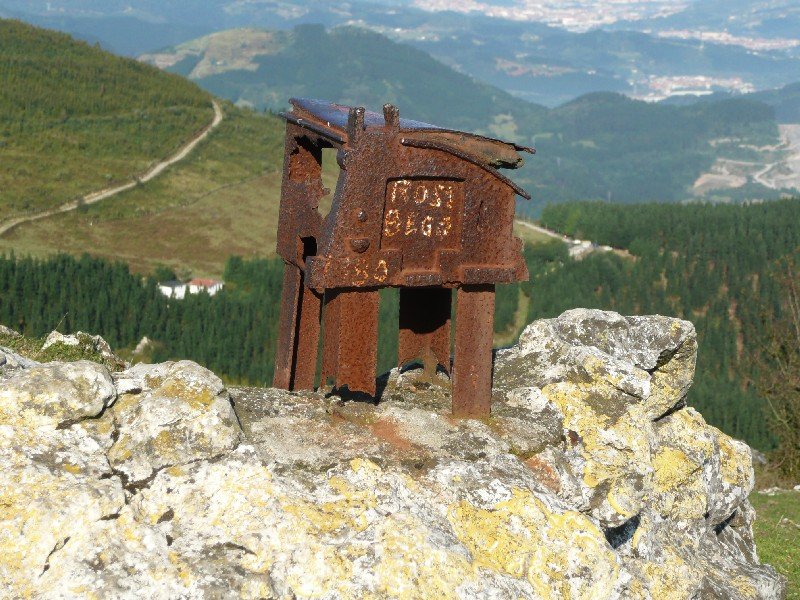 Buzoia