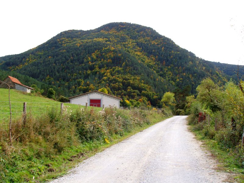 Armotoa Mintxatetik