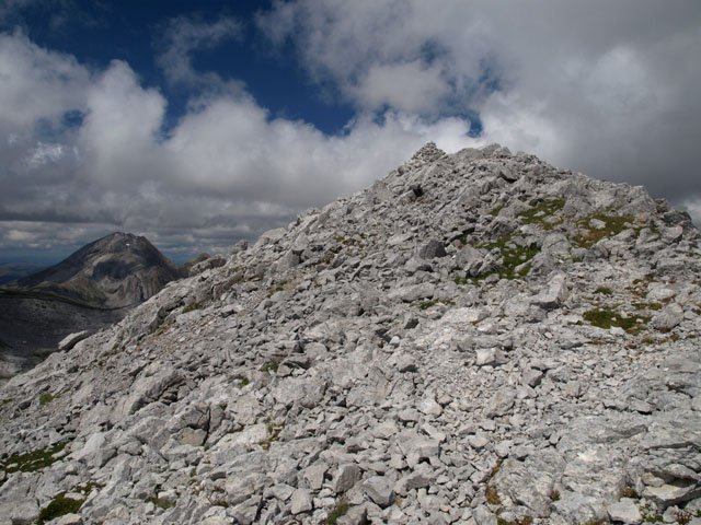 Tontorra