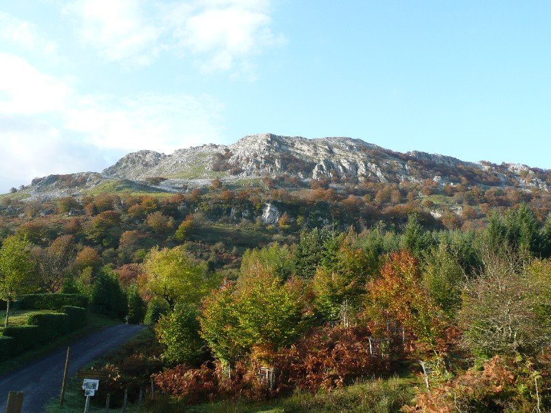 Pagomakurretik