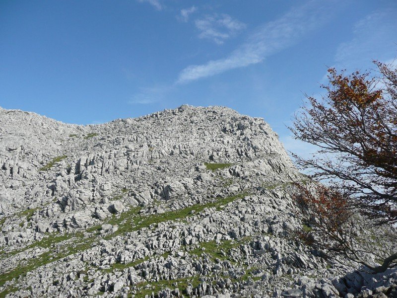 Tontorra