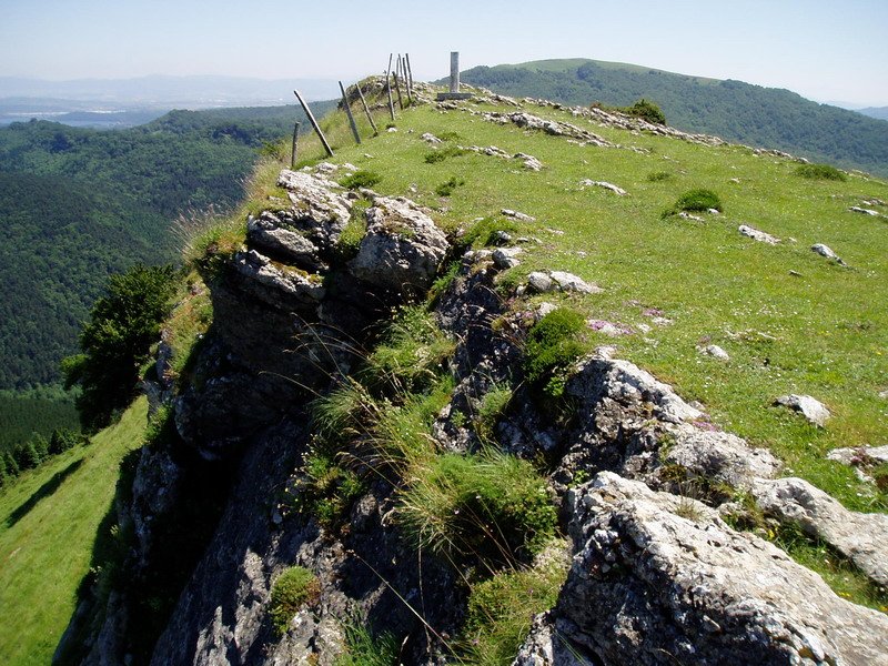 Tontorra