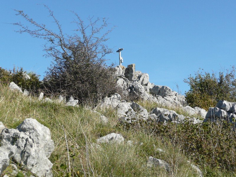 Tontorra