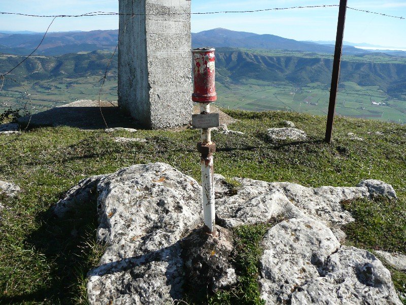 Buzoia