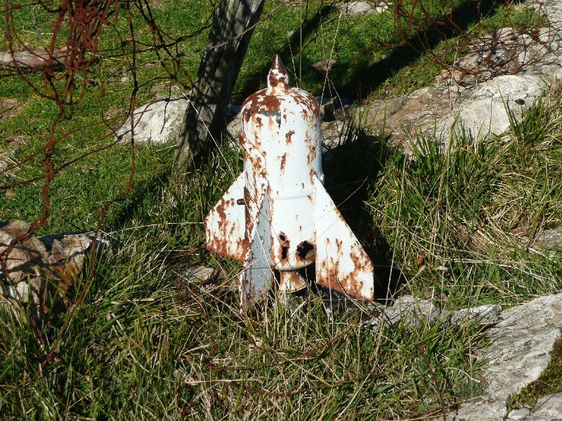 Buzoia