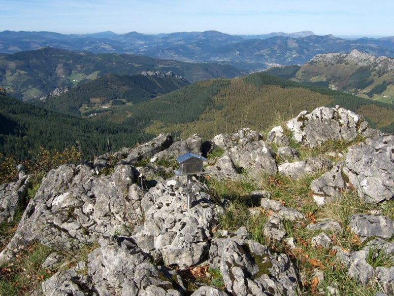 Buzoia