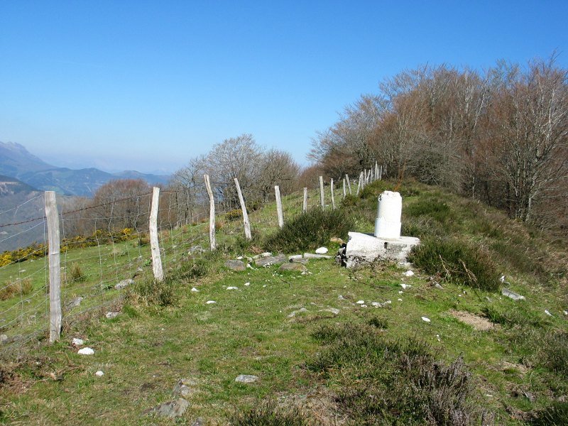 Tontorra