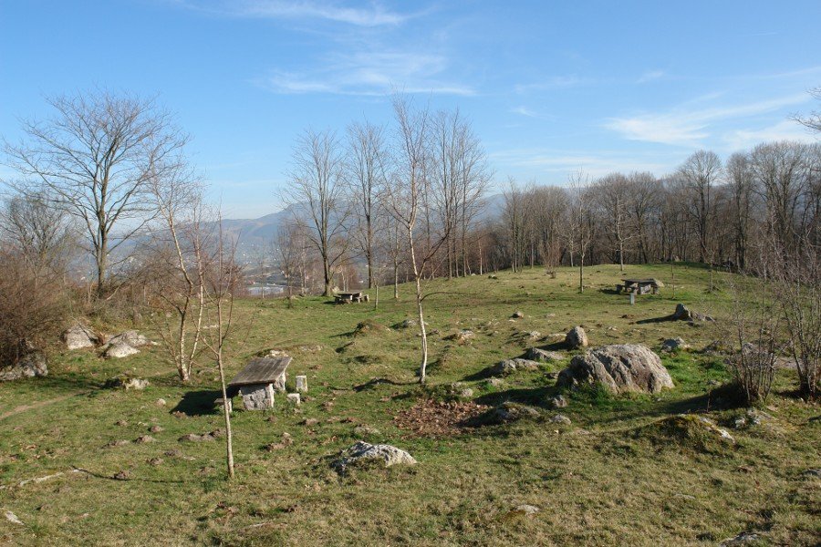 Ingurua