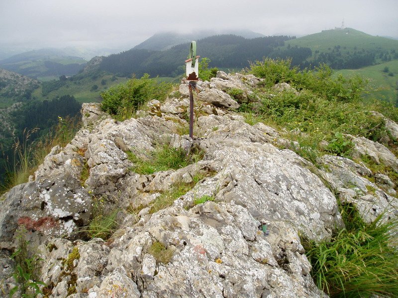 Tontorra
