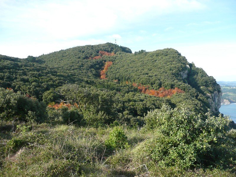 Otoio
