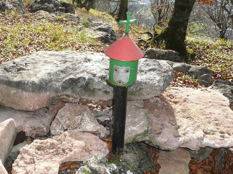 Buzoia