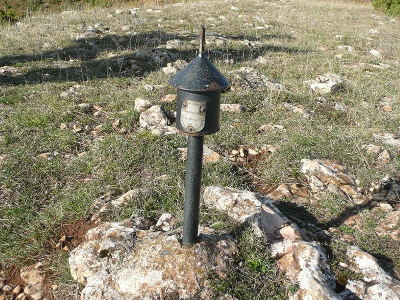 Buzoia