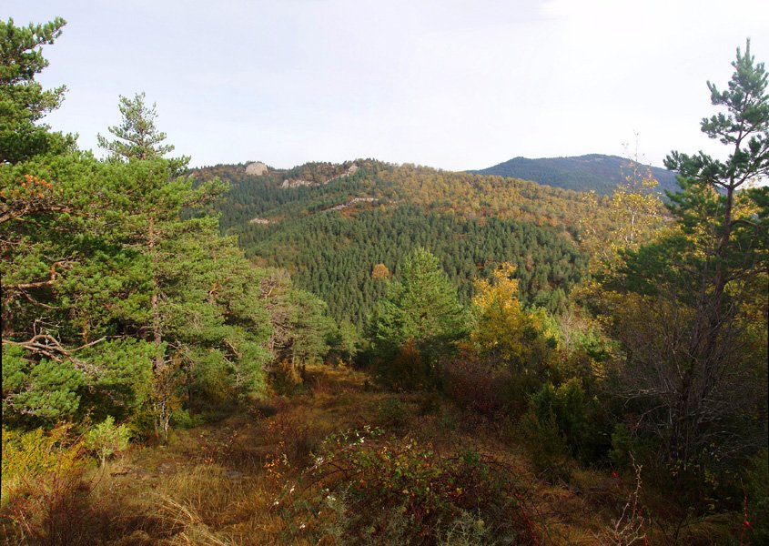 Atsagarbia bidetik