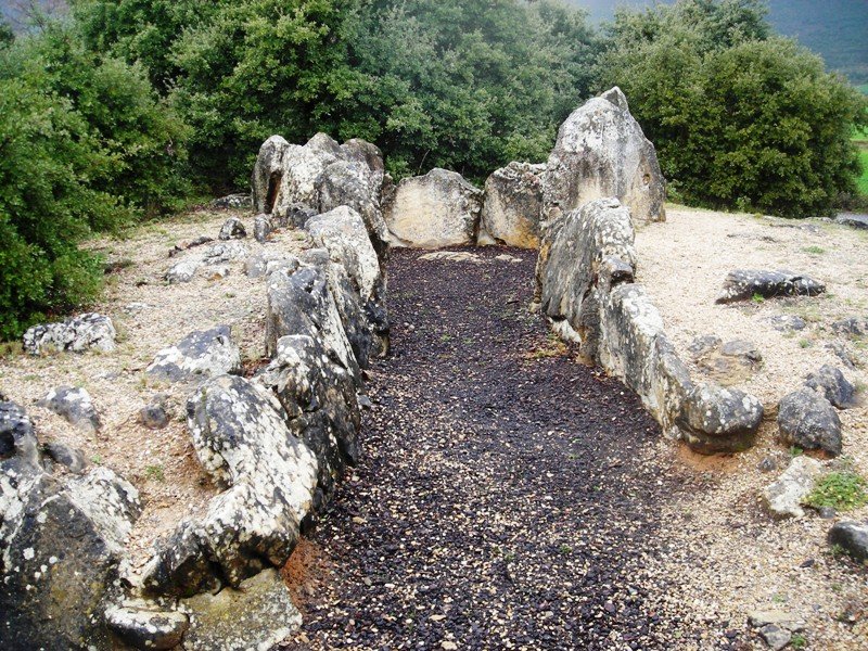 Los Llanos trikuharria