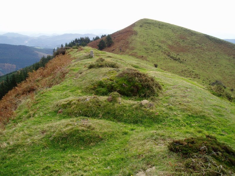 Biroleoko tontorra