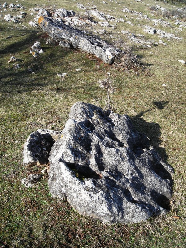 Mendiluze zutarria