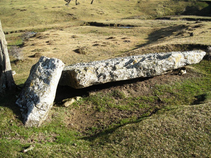 Akarte zutarria