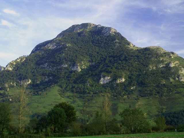 Zamaoetik ikusita