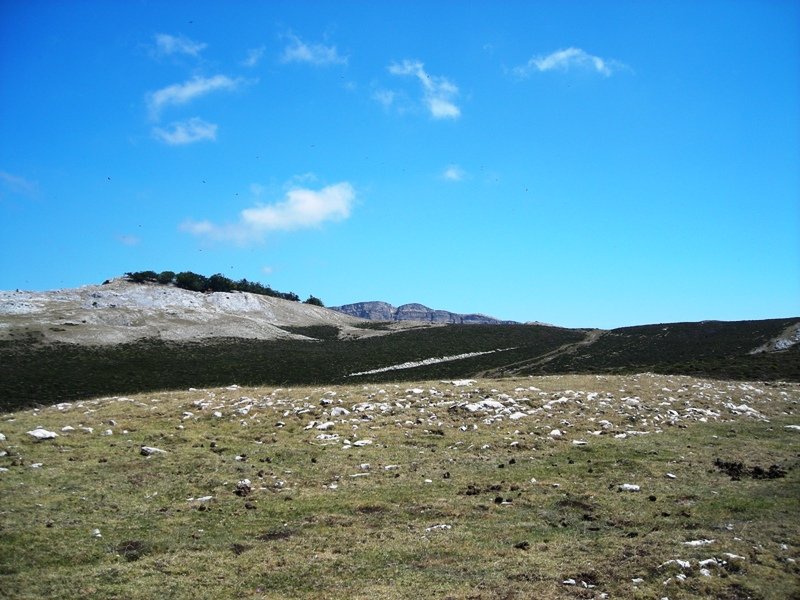 Artezabal tumulo de anillo