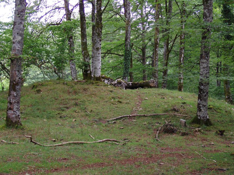 Txuritxoberri