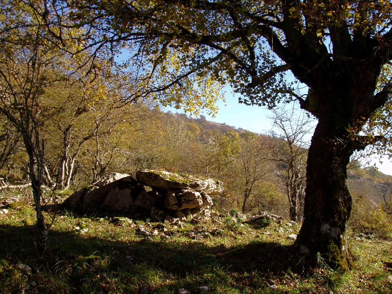 Zubeinta