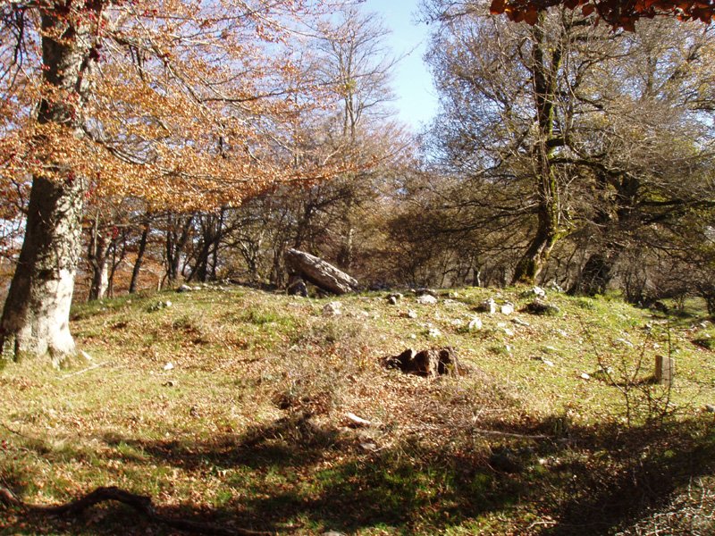 Otsopasaje
