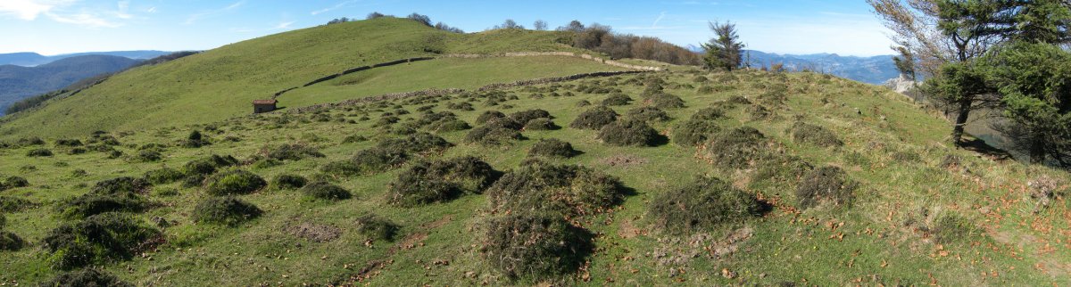 Ekialdetik ikusita
