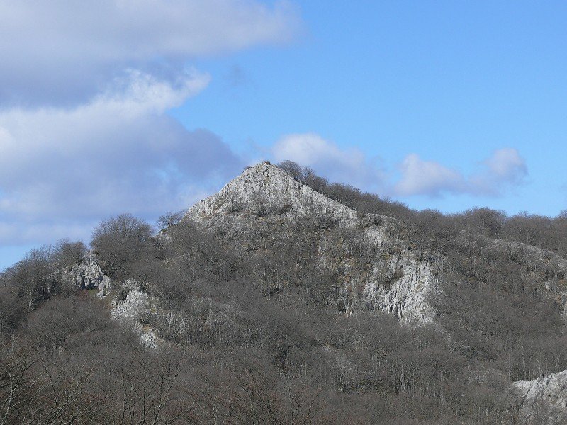Altipitatx