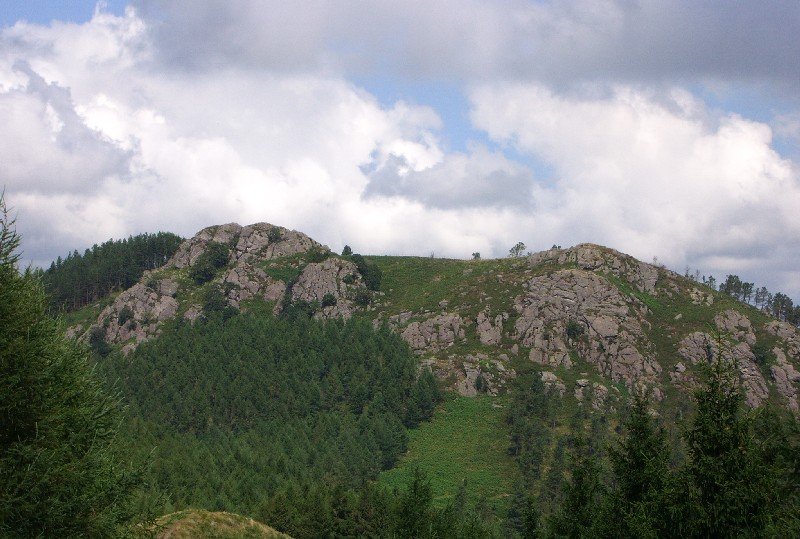 Zaburu