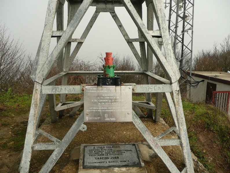 Buzoia
