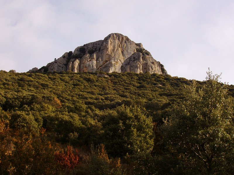 Untzue Haitza