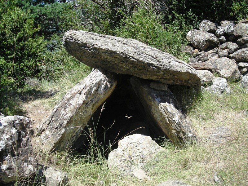 Letranz trikuharria