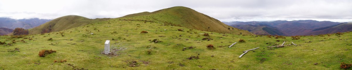 Auntzbizkar lepoa