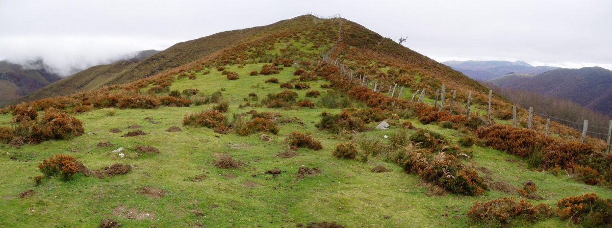 Iraingo ataka