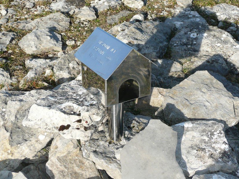 Buzoia