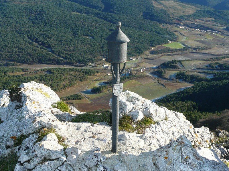 Buzoia