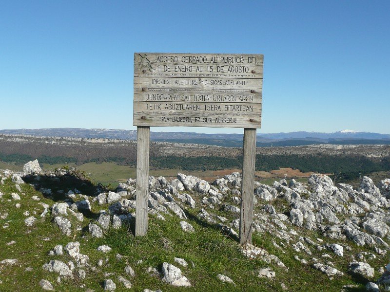 Ekialdeko Tontorra