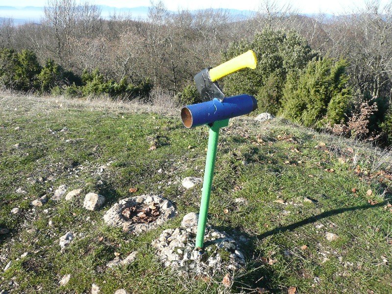 Buzoia
