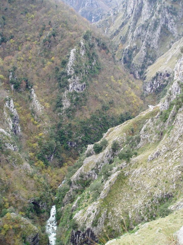 Urdóneko arroila