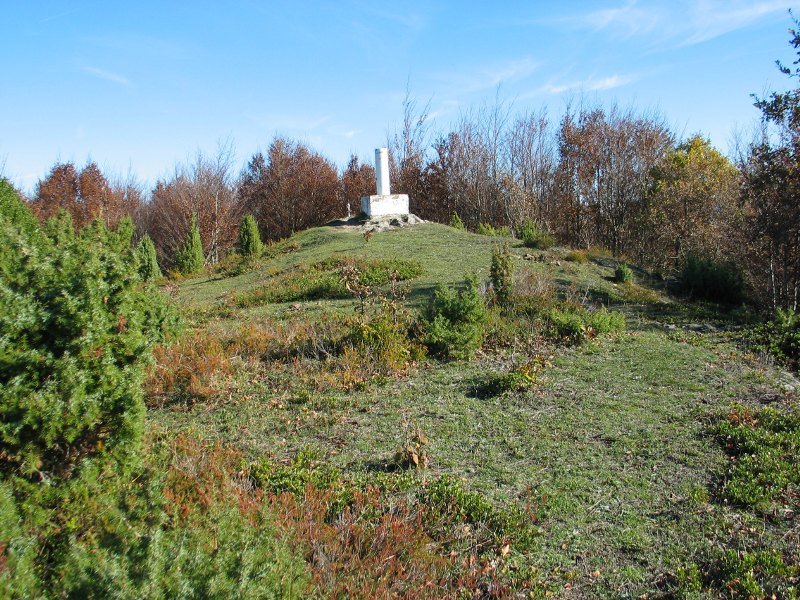 Tontorra
